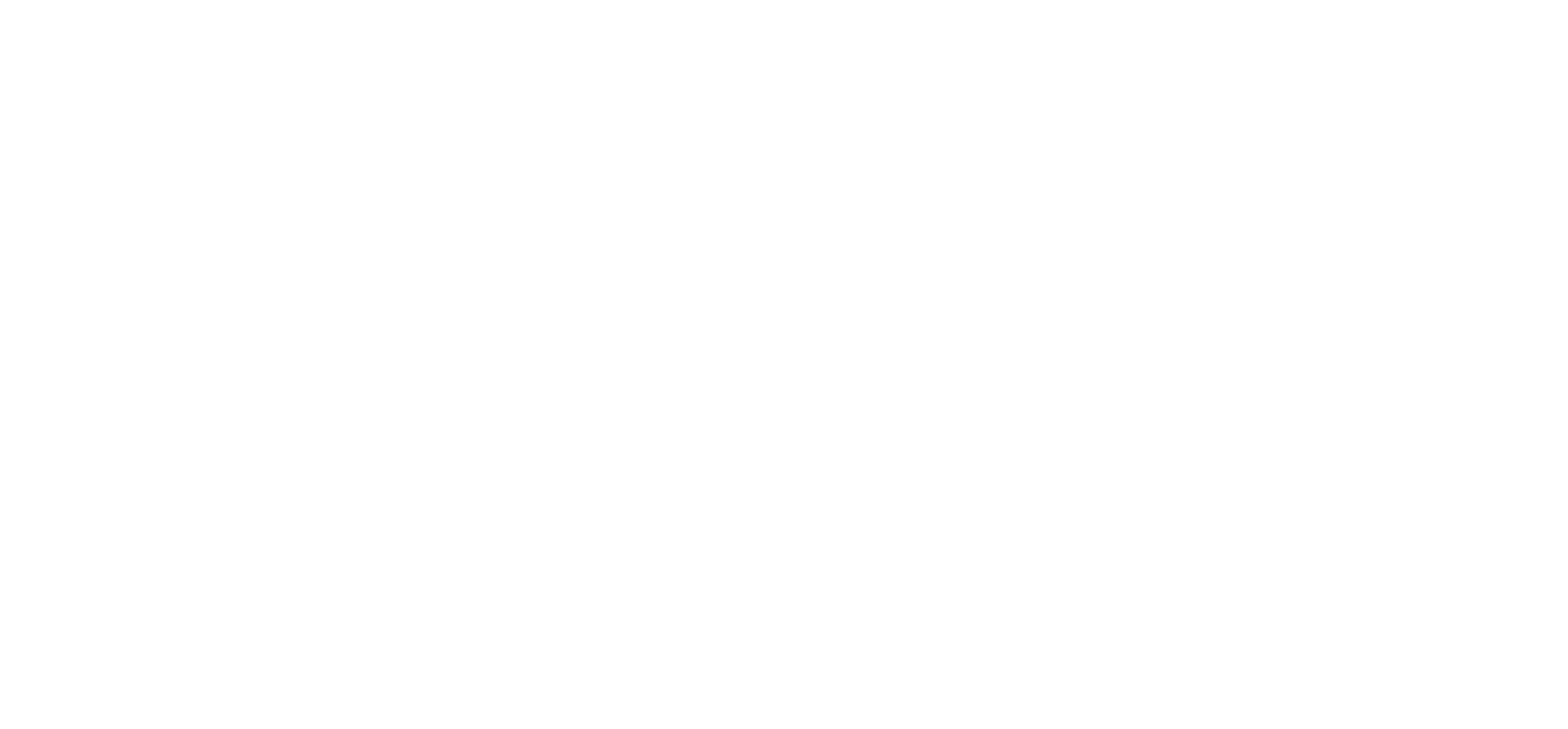 Logótipo da ntizo